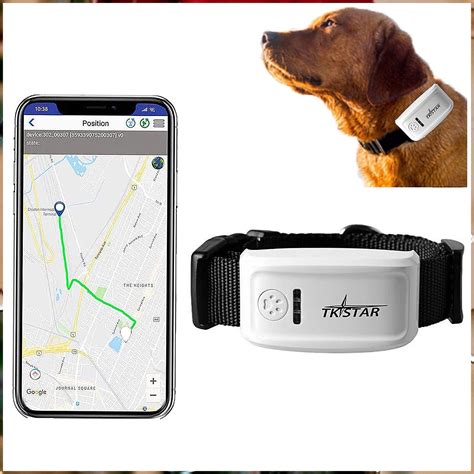 reddit gps tracker for dogs